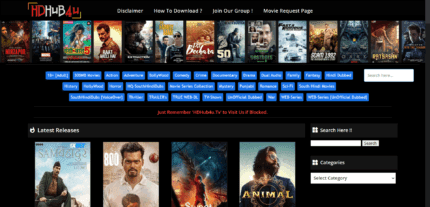 Hdhub4u WordPress Theme