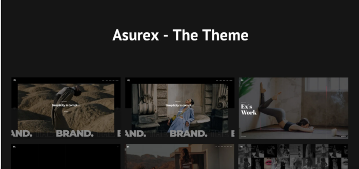 Asurex - WordPress Theme