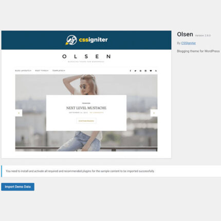 Olsen WordPress Theme By CSS Igniter